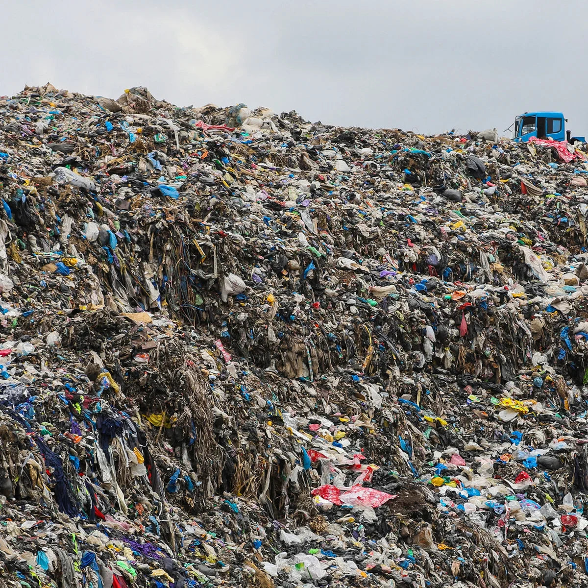 Why Preloved Designer Fashion Is the Future of Sustainable Style
